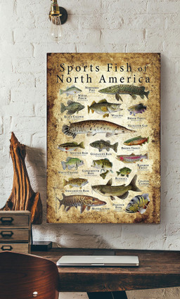 Sports Fish Of North America Animal Gallery Canvas Painting Gift For Animal Researcher Scientists Canvas Gallery Painting Wrapped Canvas Framed Prints, Canvas Paintings Wrapped Canvas 12x16