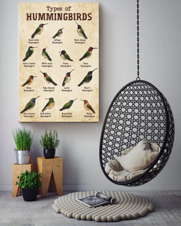 Types Of Hummingbirds Animal Knowledge For Homeschool Nusery Kids Bedroom Decor Canvas Wrapped Canvas 16x24