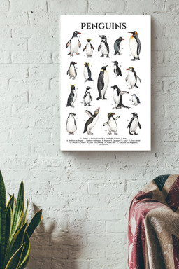 Types Of Penguins In The World Penguin Knowlegde For Education Homeschool Canvas Wrapped Canvas 12x16