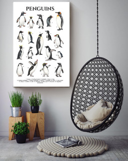 Types Of Penguins In The World Penguin Knowlegde For Education Homeschool Canvas Wrapped Canvas 16x24