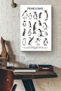 Types Of Penguins In The World Penguin Knowlegde For Education Homeschool Canvas Wrapped Canvas 20x30