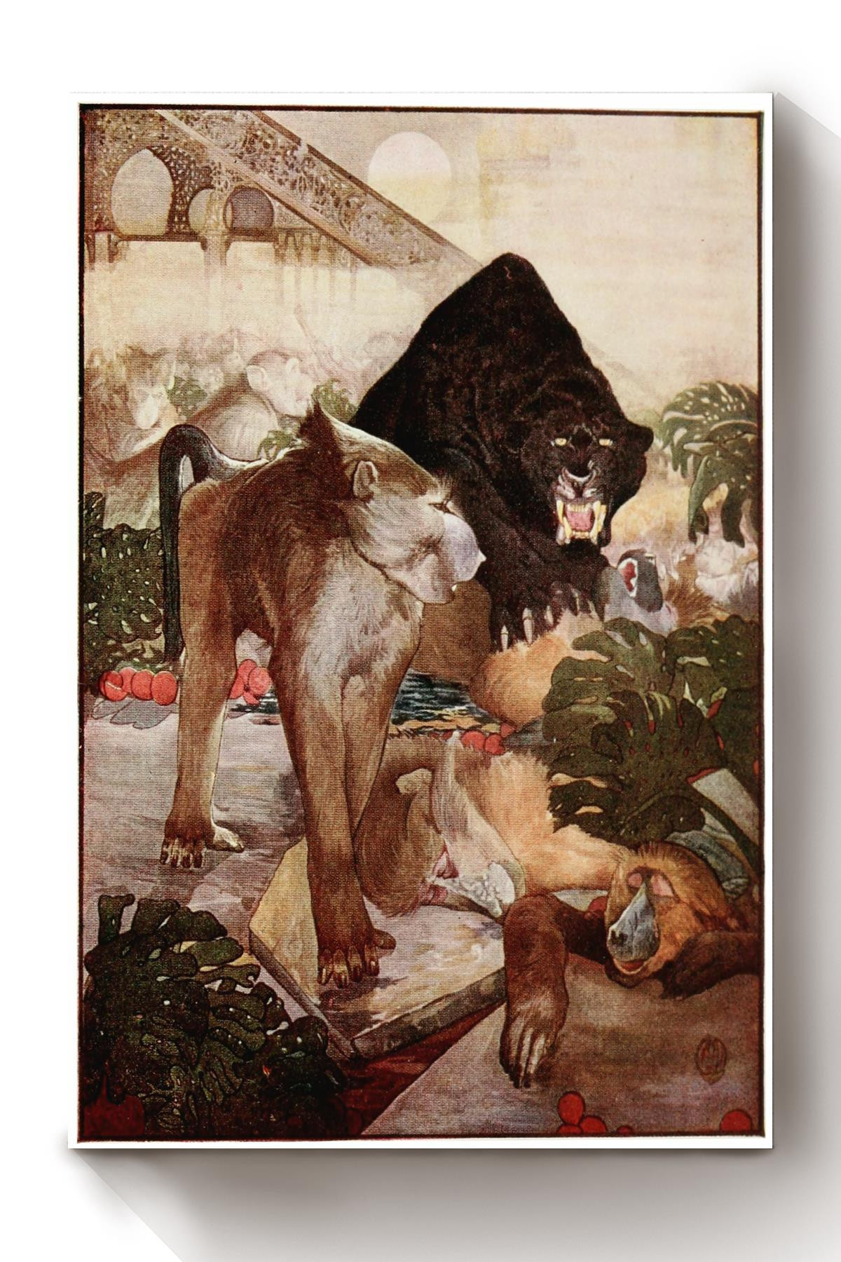 The Jungle Book Fairy Tales The Monkey Fight Illustrations By Edward Detmold Canvas Wrapped Canvas 8x10