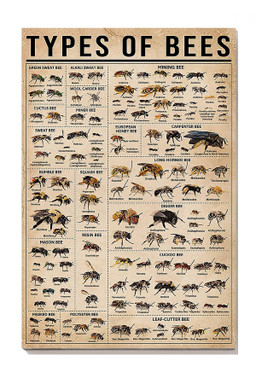 Types Of Bees Animal Gallery Canvas Painting Gift For Bee Lovers Scientists Canvas Gallery Painting Wrapped Canvas Framed Prints, Canvas Paintings Wrapped Canvas 8x10