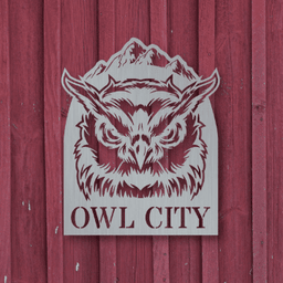 Owl Mountain Monogram Customized Metal Signs, Custom Metal Sign, Custom Signs, Metal Sign, Metal Laser Cut Metal Signs Custom Gift Ideas 14x14IN