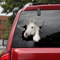 Lipizzaner Horse Crack Sticker Decals Lovable Custom Stickers For Grandma, Holden Badges And Decals 12x12IN 2PCS