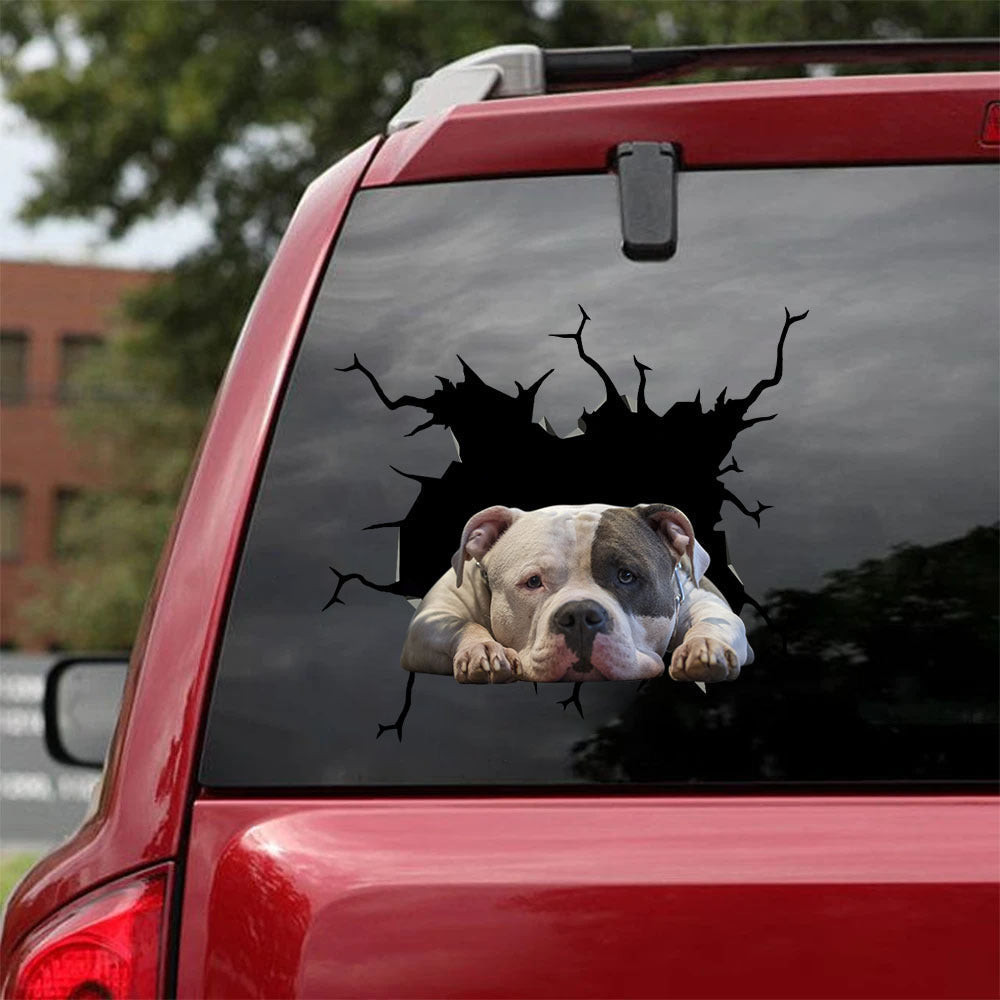 American Bully Crack Sticker Car Window Cool Vehicle Decals , Kdm Car Stickers 12x12IN 2PCS