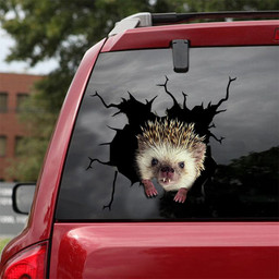 Hedgehog Crack Sticker For Car The Cutest Big Stickers Birthday Gifts For Mom, Dr Pepper Decal 12x12IN 2PCS