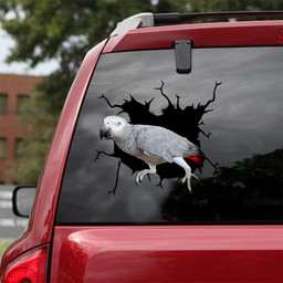 African Grey Crack Stickers For Cars The Cutest Label Paper , Car Windshield Decals 12x12IN 2PCS