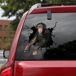 Chimpanzee Crack Decal For Back Car Window The Cutest Waterproof Decal Stickers, Buy Bumper Stickers 12x12IN 2PCS