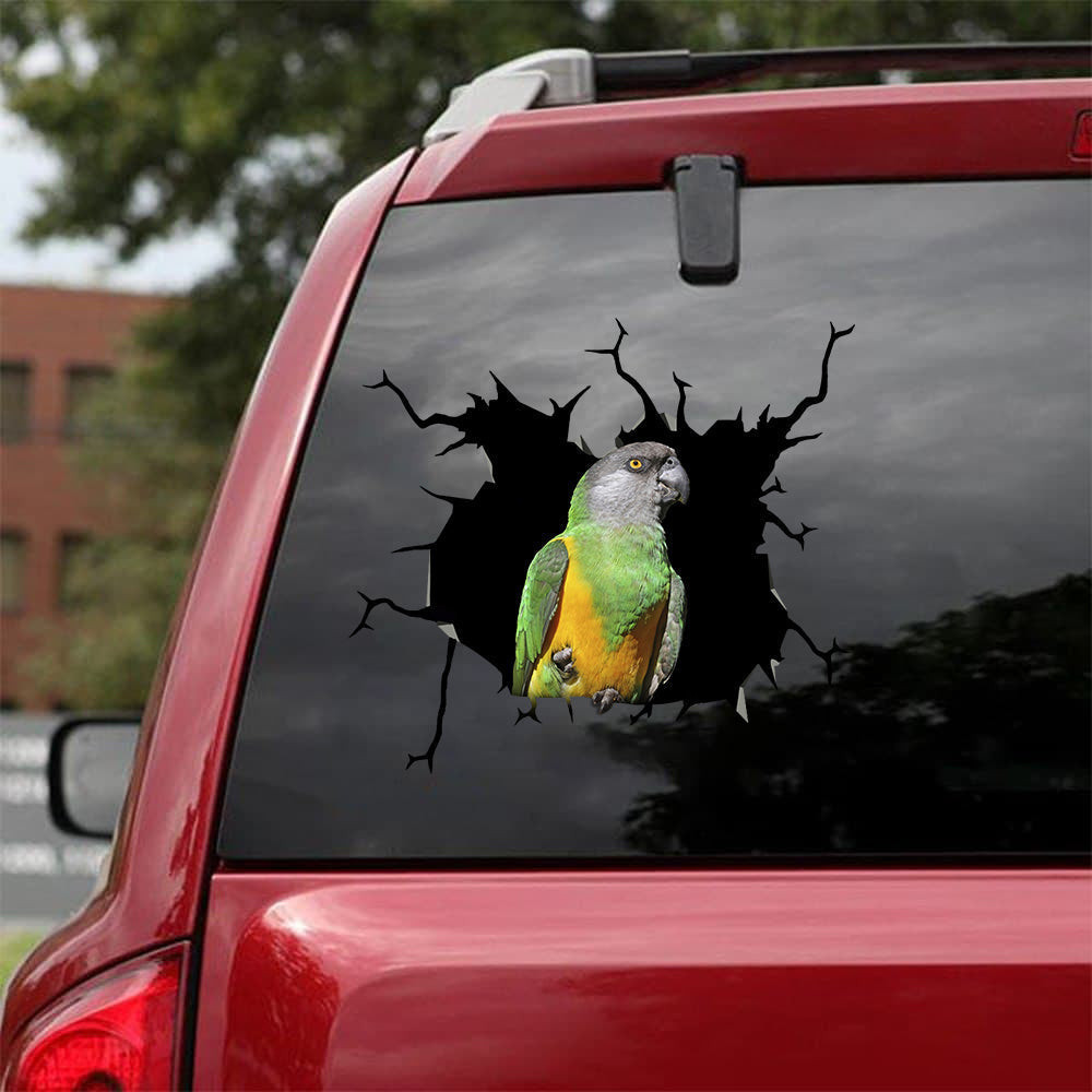 African Red Belly Parrot Crack Sticker Car Lovely Custom Logo Decal Stickers Gifts, Custom Car Body Decals 12x12IN 2PCS