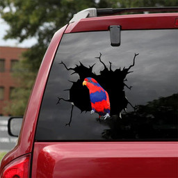 Parrot Crack Car Decal Custom Funny Pictures Decal Stickers Gifts For Teens, Car Body Decals 12x12IN 2PCS