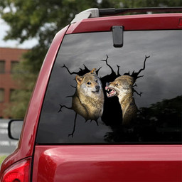 Coyote Crack Sticker Car Window Funny Quotes Sticker Paper Gifts For Guys, Liberal Bumper Sticker 12x12IN 2PCS