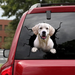 Labrador Crack Head Decal Funny Pictures Making Stickers With Decals Christmas Gifts For Women, Automotive Stickers 12x12IN 2PCS