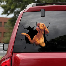 Vizsla Crack Sticker Chart Funny Memes Dot Stickers 20Th Anniversary Gift, In Memory Stickers For Cars 12x12IN 2PCS