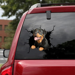 Rottweiler Crack Sticker Box Funny Pictures Sticker Birthday Gifts For Men, Prius Repellent Sticker 12x12IN 2PCS