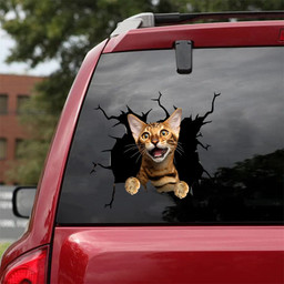 Bengal Cat Crack Bumper Sticker Funny Gifs Art Stickers Presents For Dads, Small Car Stickers 12x12IN 2PCS