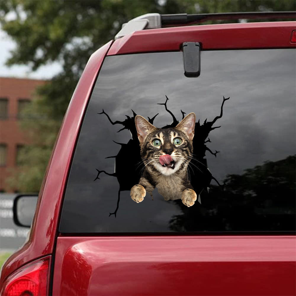 Bengal Cat Crack Decals For Windows Happy Floor Stickers , Driver Sticker 12x12IN 2PCS