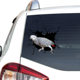 African Grey Crack Window Decal Custom 3d Car Decal Vinyl Aesthetic Decal Funny Stickers Cute Gift Ideas Ae10003 Car Vinyl Decal Sticker Window Decals, Peel and Stick Wall Decals