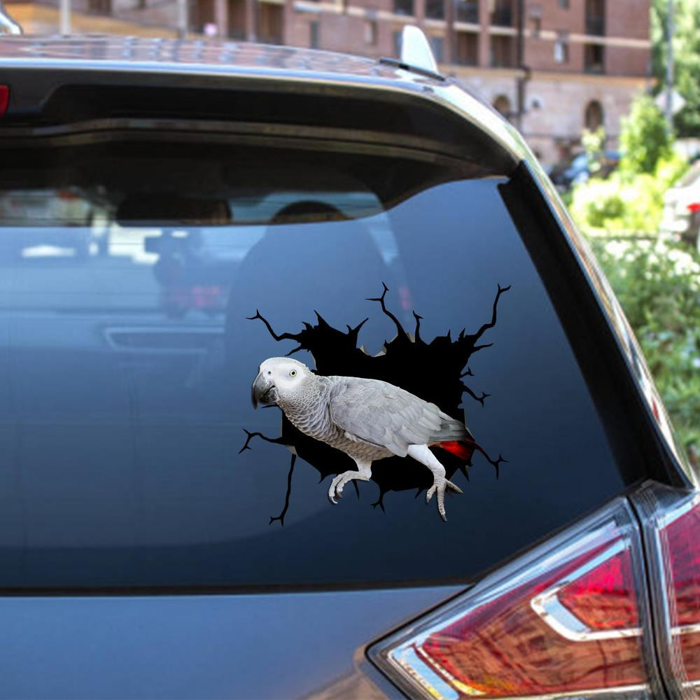 African Grey Crack Window Decal Custom 3d Car Decal Vinyl Aesthetic Decal Funny Stickers Cute Gift Ideas Ae10003 Car Vinyl Decal Sticker Window Decals, Peel and Stick Wall Decals 12x12IN 2PCS