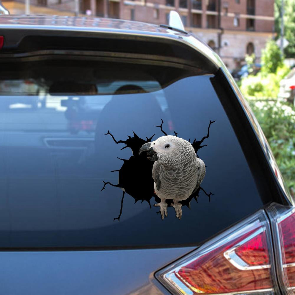 African Grey Crack Window Decal Custom 3d Car Decal Vinyl Aesthetic Decal Funny Stickers Cute Gift Ideas Ae10002 Car Vinyl Decal Sticker Window Decals, Peel and Stick Wall Decals 12x12IN 2PCS