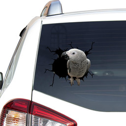 African Grey Crack Window Decal Custom 3d Car Decal Vinyl Aesthetic Decal Funny Stickers Cute Gift Ideas Ae10002 Car Vinyl Decal Sticker Window Decals, Peel and Stick Wall Decals