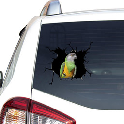 African Red Belly Parrot Crack Window Decal Custom 3d Car Decal Vinyl Aesthetic Decal Funny Stickers Home Decor Gift Ideas Car Vinyl Decal Sticker Window Decals, Peel and Stick Wall Decals