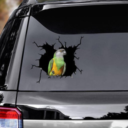 African Red Belly Parrot Crack Window Decal Custom 3d Car Decal Vinyl Aesthetic Decal Funny Stickers Home Decor Gift Ideas Car Vinyl Decal Sticker Window Decals, Peel and Stick Wall Decals
