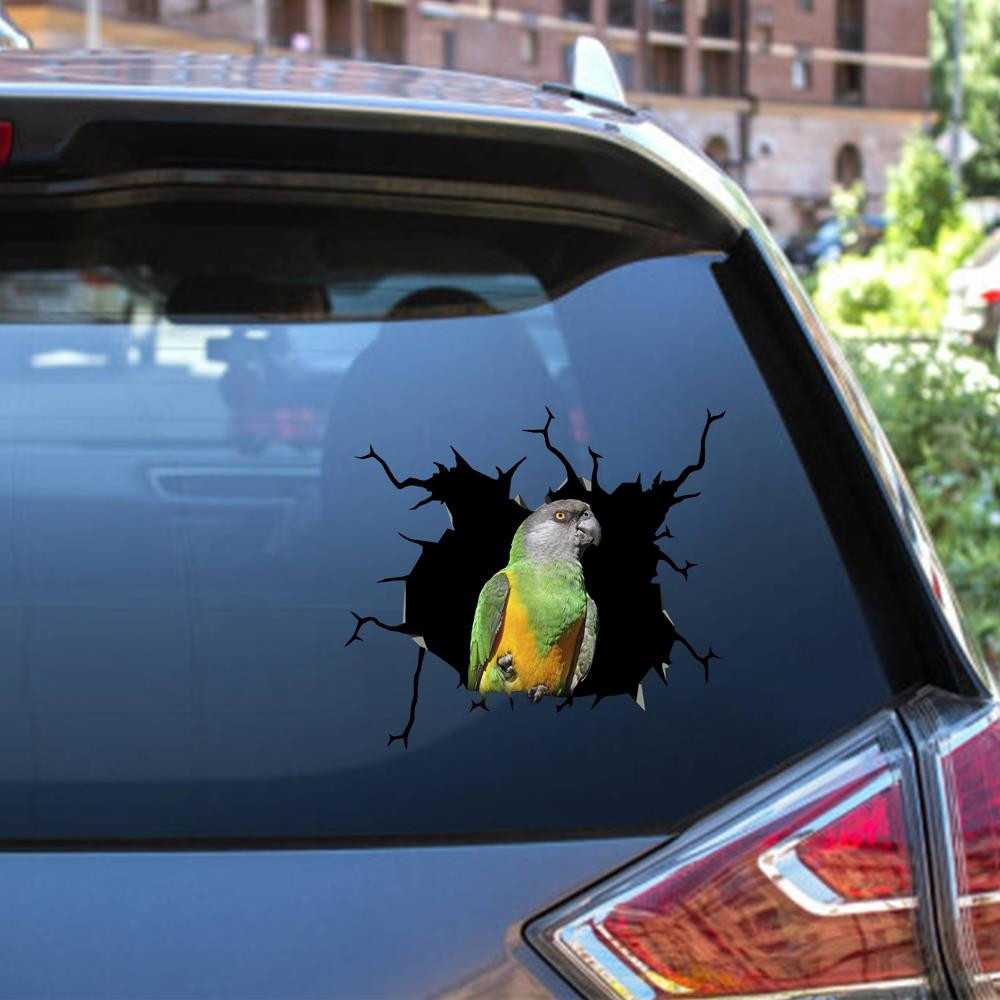 African Red Belly Parrot Crack Window Decal Custom 3d Car Decal Vinyl Aesthetic Decal Funny Stickers Home Decor Gift Ideas Car Vinyl Decal Sticker Window Decals, Peel and Stick Wall Decals 12x12IN 2PCS