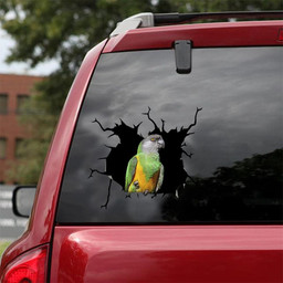 African Red Belly Parrot Crack Window Decal Custom 3d Car Decal Vinyl Aesthetic Decal Funny Stickers Home Decor Gift Ideas Car Vinyl Decal Sticker Window Decals, Peel and Stick Wall Decals 18x18IN 2PCS