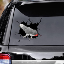 African Grey Crack Window Decal Custom 3d Car Decal Vinyl Aesthetic Decal Funny Stickers Cute Gift Ideas Ae10004 Car Vinyl Decal Sticker Window Decals, Peel and Stick Wall Decals