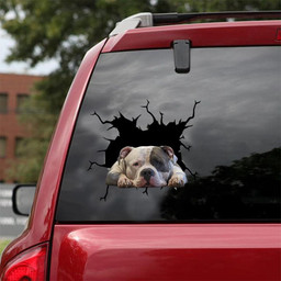 American Bully Crack Window Decal Custom 3d Car Decal Vinyl Aesthetic Decal Funny Stickers Home Decor Gift Ideas Car Vinyl Decal Sticker Window Decals, Peel and Stick Wall Decals 18x18IN 2PCS