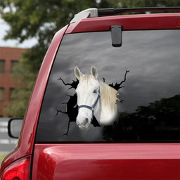 Andalusian Horse Crack Decal For Cuteness Sticker Ideas For Coworkers.Png Car Vinyl Decal Sticker Window Decals, Peel and Stick Wall Decals 18x18IN 2PCS