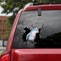 Blue Quaker Parrot Crack Funny Christmas For Mother Day.Png Car Vinyl Decal Sticker Window Decals, Peel and Stick Wall Decals 18x18IN 2PCS