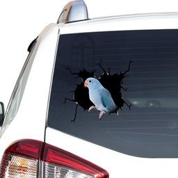 Blue Quaker Parrot Crack Funny For Wild Animal Lover Car Vinyl Decal Sticker Window Decals, Peel and Stick Wall Decals