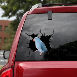 Blue Quaker Parrot Crack Funny For Wild Animal Lover Car Vinyl Decal Sticker Window Decals, Peel and Stick Wall Decals 18x18IN 2PCS