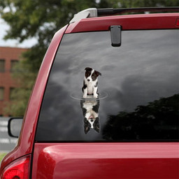 Border Collie Crack Window Decal Custom 3d Car Decal Vinyl Aesthetic Decal Funny Stickers Cute Gift Ideas Ae10185 Car Vinyl Decal Sticker Window Decals, Peel and Stick Wall Decals 18x18IN 2PCS