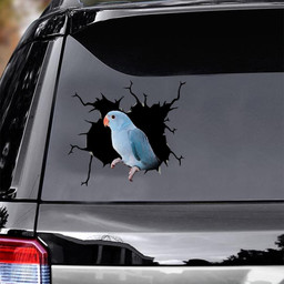 Blue Quaker Parrot Crack Funny For Wild Animal Lover Car Vinyl Decal Sticker Window Decals, Peel and Stick Wall Decals