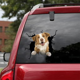 Border Collie Crack Window Decal Custom 3d Car Decal Vinyl Aesthetic Decal Funny Stickers Cute Gift Ideas Ae10187 Car Vinyl Decal Sticker Window Decals, Peel and Stick Wall Decals 18x18IN 2PCS