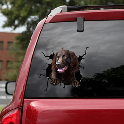 Boykin Spaniel Crack Window Decal Custom 3d Car Decal Vinyl Aesthetic Decal Funny Stickers Cute Gift Ideas Ae10242 Car Vinyl Decal Sticker Window Decals, Peel and Stick Wall Decals 18x18IN 2PCS