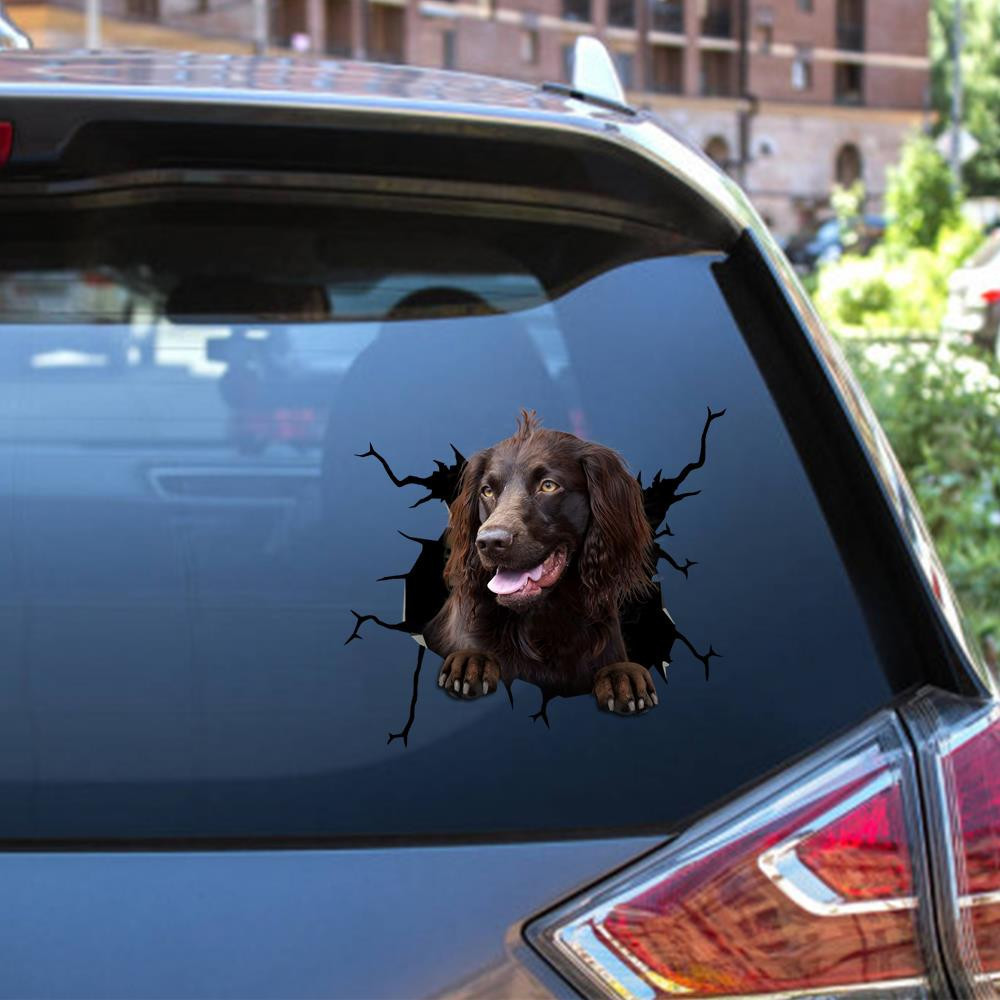 Boykin Spaniel Crack Window Decal Custom 3d Car Decal Vinyl Aesthetic Decal Funny Stickers Cute Gift Ideas Ae10242 Car Vinyl Decal Sticker Window Decals, Peel and Stick Wall Decals 12x12IN 2PCS