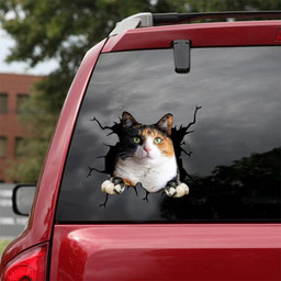 Calico Cat Crack Window Decal Custom 3d Car Decal Vinyl Aesthetic Decal Funny Stickers Home Decor Gift Ideas Car Vinyl Decal Sticker Window Decals, Peel and Stick Wall Decals 18x18IN 2PCS