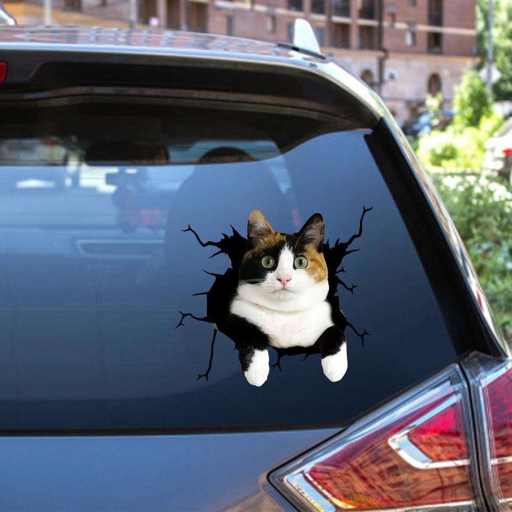 Calico Cat Crack Window Decal Custom 3d Car Decal Vinyl Aesthetic Decal Funny Stickers Cute Gift Ideas Ae10289 Car Vinyl Decal Sticker Window Decals, Peel and Stick Wall Decals 12x12IN 2PCS