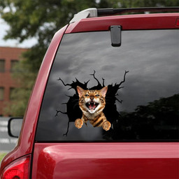 Cat Crack Decal Funny Stickers For Farther Day Car Vinyl Decal Sticker Window Decals, Peel and Stick Wall Decals 18x18IN 2PCS