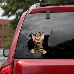 Cat Crack Decal Funny Stickers For Cat Lover Birthday Ideas Car Vinyl Decal Sticker Window Decals, Peel and Stick Wall Decals 18x18IN 2PCS