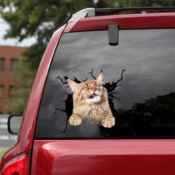 Cat Crack Decal Cute Stickers For Cat Lover Birthday Ideas Car Vinyl Decal Sticker Window Decals, Peel and Stick Wall Decals 18x18IN 2PCS