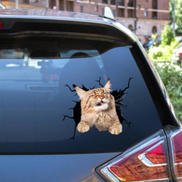 Cat Crack Decal Cute Stickers For Cat Lover Birthday Ideas Car Vinyl Decal Sticker Window Decals, Peel and Stick Wall Decals 12x12IN 2PCS