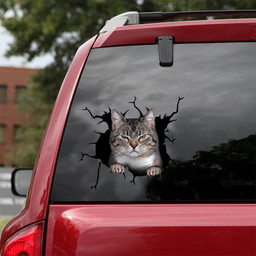 Cat Crack Window Decal Custom 3d Car Decal Vinyl Aesthetic Decal Funny Stickers Home Decor Gift Ideas Car Vinyl Decal Sticker Window Decals, Peel and Stick Wall Decals 18x18IN 2PCS