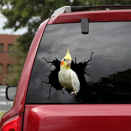 Cockatiel Crack Window Decal Custom 3d Car Decal Vinyl Aesthetic Decal Funny Stickers Cute Gift Ideas Ae10362 Car Vinyl Decal Sticker Window Decals, Peel and Stick Wall Decals 18x18IN 2PCS