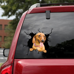 Dachshund Dog Breeds Dogs Puppy Crack Window Decal Custom 3d Car Decal Vinyl Aesthetic Decal Funny Stickers Cute Gift Ideas Ae10397 Car Vinyl Decal Sticker Window Decals, Peel and Stick Wall Decals 18x18IN 2PCS