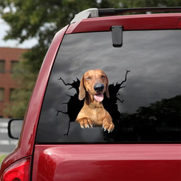 Dachshund Dog Breeds Dogs Puppy Crack Window Decal Custom 3d Car Decal Vinyl Aesthetic Decal Funny Stickers Cute Gift Ideas Ae10408 Car Vinyl Decal Sticker Window Decals, Peel and Stick Wall Decals 18x18IN 2PCS